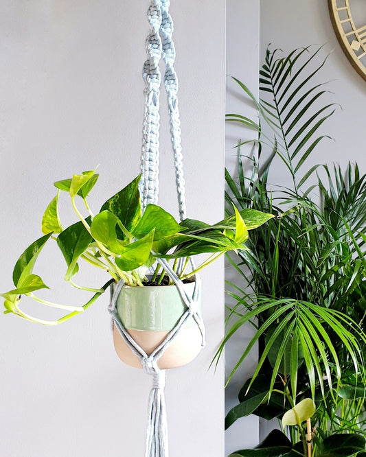 The Original Plant Hanger